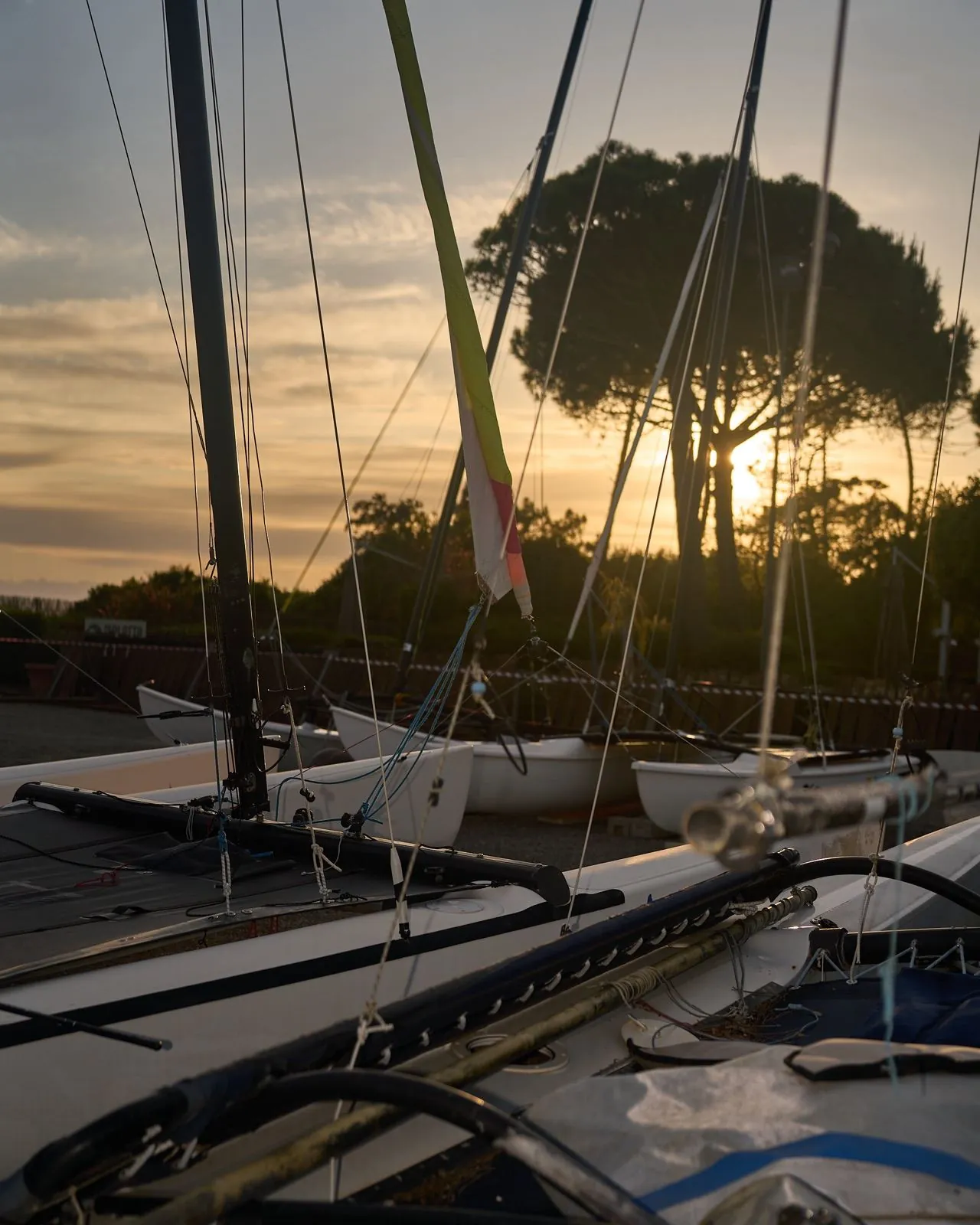 Catamarani e barche a vela a terra al tramonto, tra i pini di Punta Ala